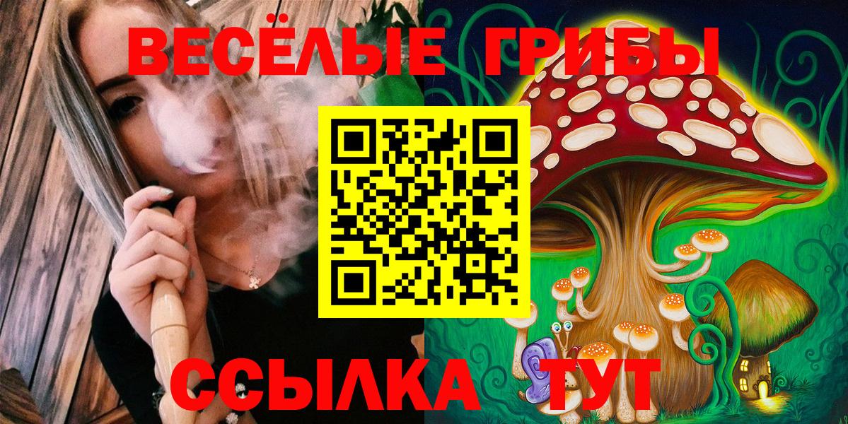Псилоцибиновые грибы Psilocybe  Вход с VPN  Псилоцибиновые грибы MAGIC MUSHROOMS  Павловский Посад 