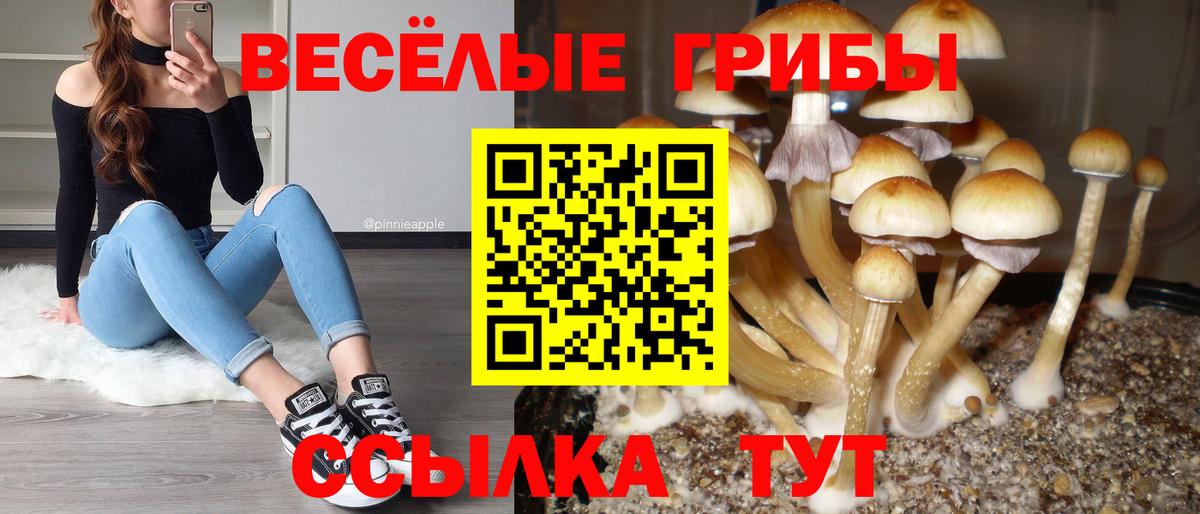 Псилоцибиновые грибы ЛСД Павловский Посад