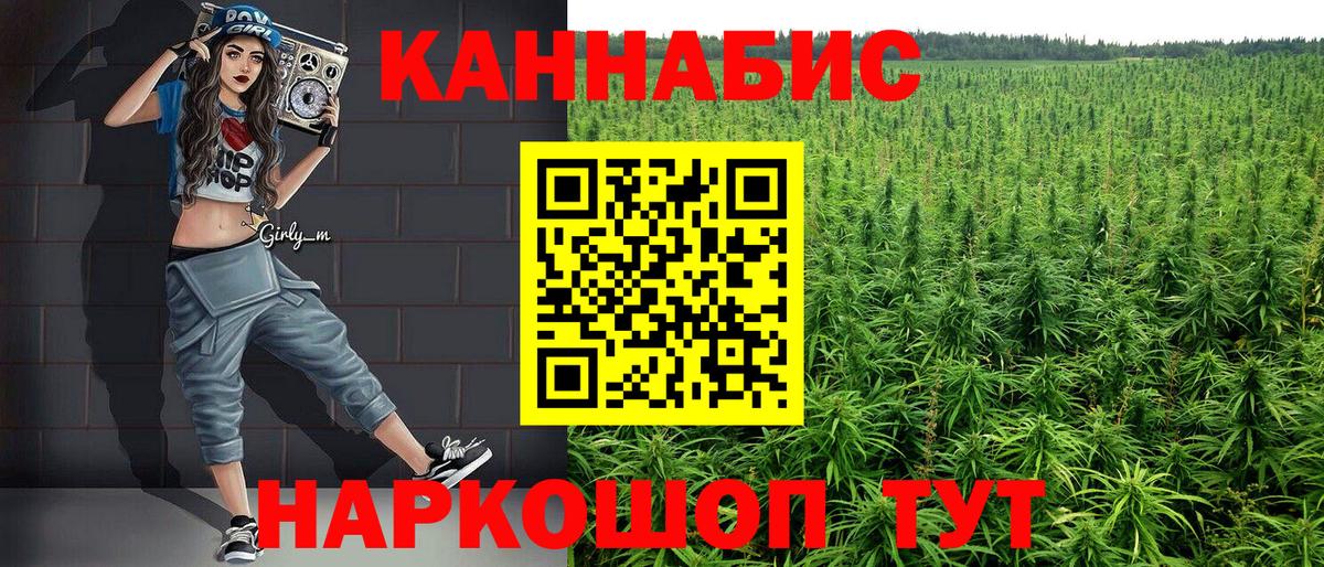 Конопля гибрид Павловский Посад
